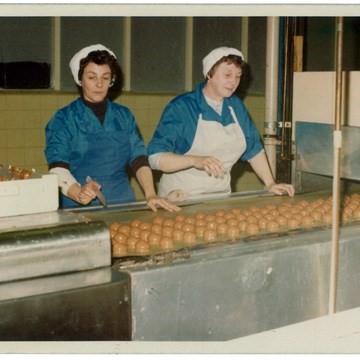 1956 The Teacake was born